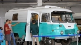 Pastelowy robur - zdjęcie 3