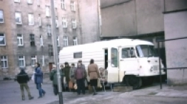 Pastelowy robur - zdjęcie 4