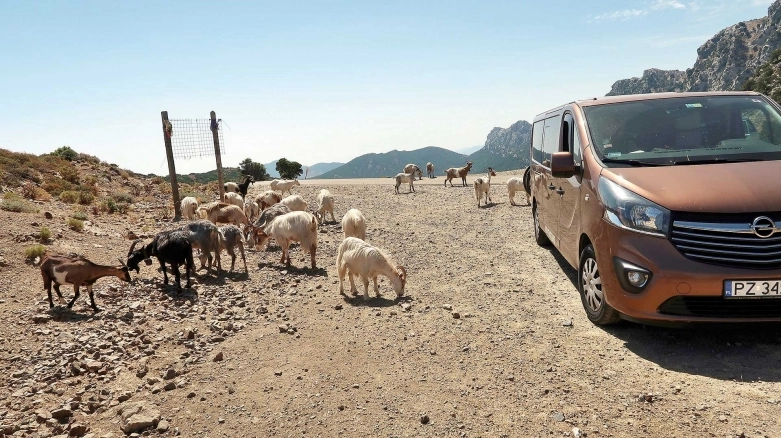 Po co komu zewnętrzny prąd? Mamy Solary!