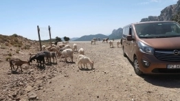 Po co komu zewnętrzny prąd? Mamy solary! - zdjęcie 4