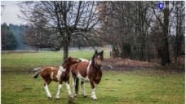 Podlasie na weekend - zdjęcie 24