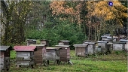 Podlasie na weekend - zdjęcie 25