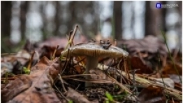 Podlasie na weekend - zdjęcie 35