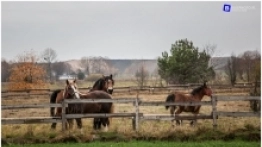 Podlasie na weekend - zdjęcie 37