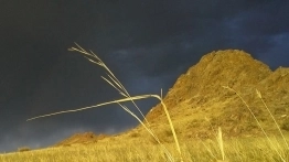 Poland Mongolia Trans-Siberian Expedition od podszewki (wygraj książkę!) - zdjęcie 4