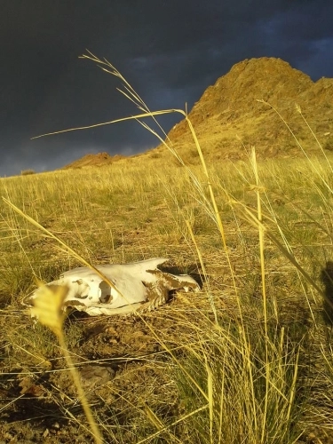 Poland Mongolia Trans-Siberian Expedition od podszewki (wygraj książkę!) - zdjęcie 4