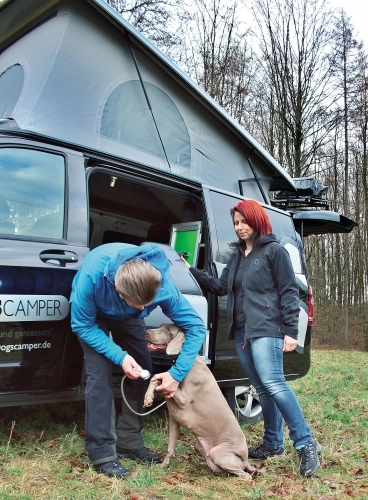 Dogsamper pozwala na łatwe opłukanie łap psa na zewnątrz dzięki długiemu wężowi prysznicowemu - zdjęcie 4