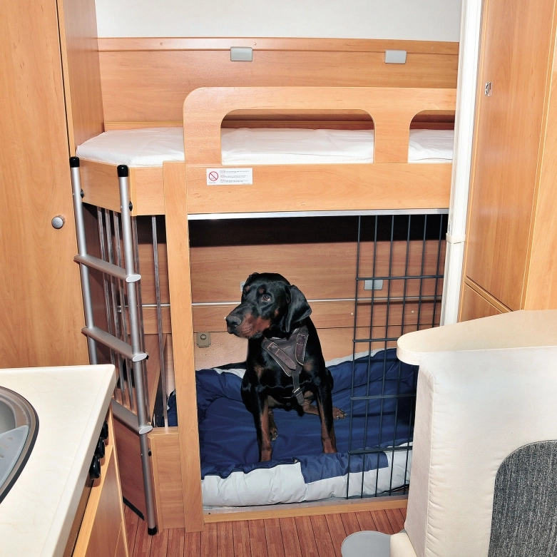W szwajcarskim Dog Camper pies może mieć także legowisko pod piętrowym łóżkiem przyczepy - zdjęcie 7