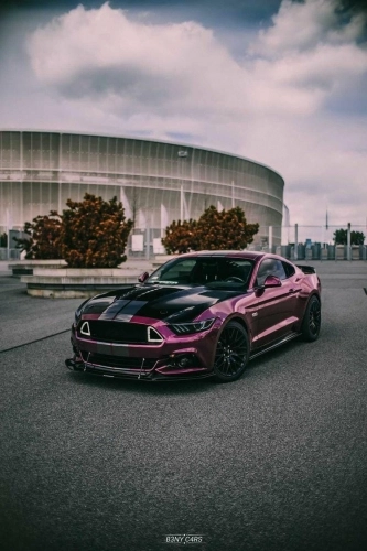 Poznań Moto Fest już za tydzień! - zdjęcie 13