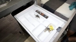 Przyczepa Black Series HQ19 - zdjęcie 64