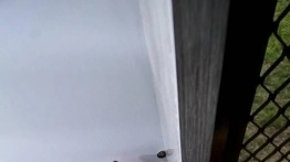 Przyczepa Black Series HQ19 - zdjęcie 74