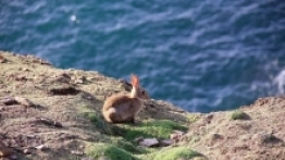 Relacja z podróży kamperem przez Anglię i Kornwalię - zdjęcie 5