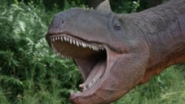 Rodzinnie w JuraParku - zdjęcie 3