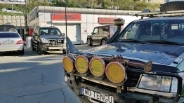 Shiba Inu Expedition - zdjęcie 8