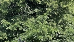 Składaki hybrydowe od TrybEco - nowe erowery. - zdjęcie 3