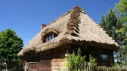 Męćmierz - zdjęcie 2