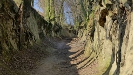 Wąwóz lessowy  - zdjęcie 3