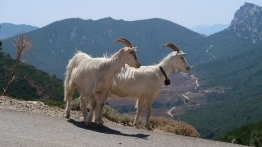 Ta niezależność daje mnóstwo frajdy - zdjęcie 6