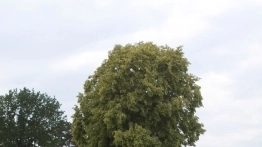 Testujemy Isuzu D-Max Shiro - zdjęcie 5