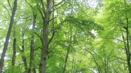 Testujemy Isuzu D-Max Shiro - zdjęcie 9