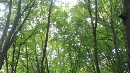 Testujemy Isuzu D-Max Shiro - zdjęcie 13