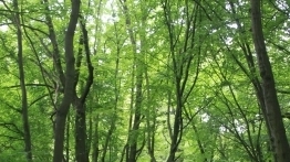 Testujemy Isuzu D-Max Shiro - zdjęcie 15