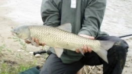 Uroczy kemping zaledwie 50 km od Warszawy - zdjęcie 5