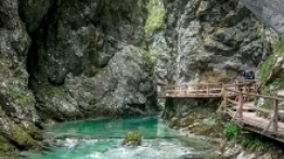 Wąwóz Vintgar - zdjęcie 14