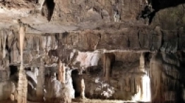 Jaskinia Postojna – obowiązkowy punkt podróży  po Słowenii. Przejazd kolejką dostarcza  niesamowitych wrażeń, podobnie jak kilometry tuneli - zdjęcie 10