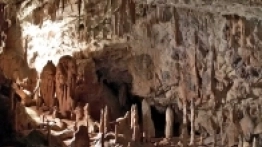 Jaskinia Postojna – obowiązkowy punkt podróży  po Słowenii. Przejazd kolejką dostarcza  niesamowitych wrażeń, podobnie jak kilometry tuneli - zdjęcie 11