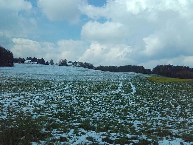 Wasze Historie: majówkowa wyprawa 2200 km kamperem z własną zabudową