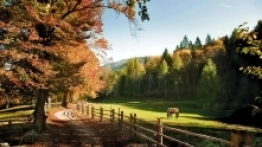 Wycieczka do Włoch - uroki Trentino - zdjęcie 3