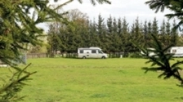 Niezwykle duży i zadbany kemping w miejscowości Nowe Guty tuż nad jeziorem Śniardwy - zdjęcie 6