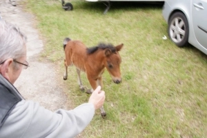 Galeria id: 24 - zdjęcie 13