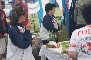 Galeria id: 24 - zdjęcie 15