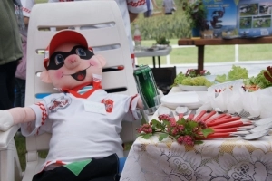 Galeria id: 24 - zdjęcie 18