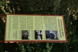 Fojutowo - zdjęcie 9