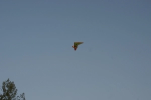 Warka 1-3.05.2009 cz.2 - zdjęcie 16