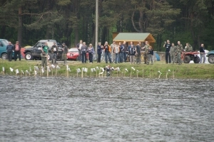 Pajęczno 4x4 - zdjęcie 10