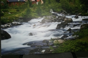 Solanki marzec cz.1 - zdjęcie 5