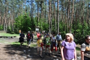 Majdan Sopocki - zdjęcie 5