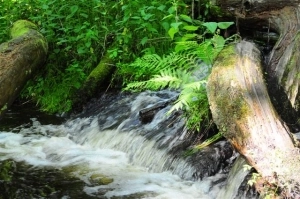 Majdan Sopocki - zdjęcie 9