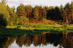 Majdan Sopocki - zdjęcie 7