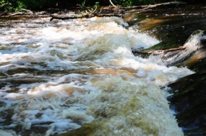 Majdan Sopocki - zdjęcie 8