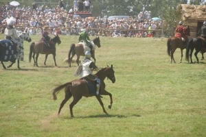 600-lecie bitwy pod Grunwaldem - zdjęcie 8
