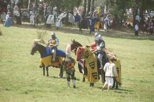 600-lecie bitwy pod Grunwaldem - zdjęcie 9