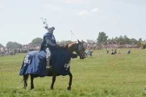 600-lecie bitwy pod Grunwaldem - zdjęcie 10