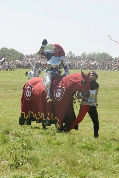 600-lecie bitwy pod Grunwaldem,  cd - zdjęcie 10