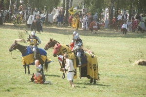 600-lecie bitwy pod Grunwaldem,  cz.3 - zdjęcie 10