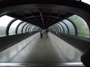 cd. Caravan Salon 2010 - zdjęcie 15